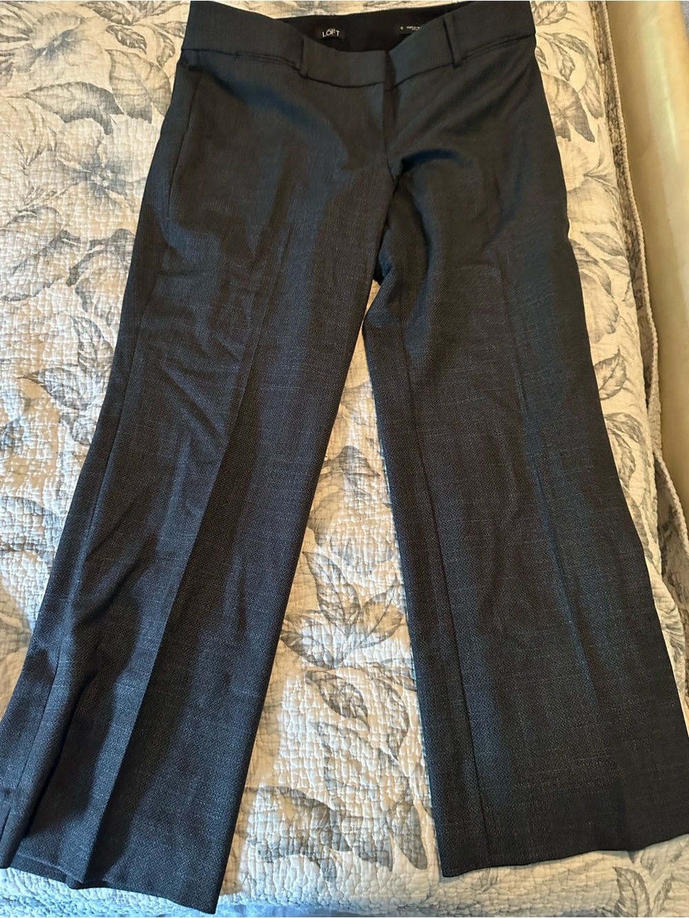 Ann Taylor Wide-Leg Dress Pants in Charcoal Black